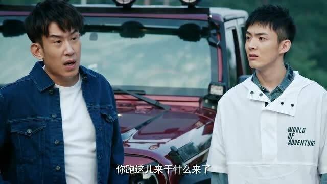 当明星的烦恼,揭秘明星们的隐秘心声