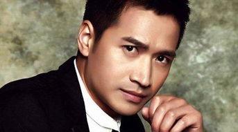 何晟铭老婆的个人资料,才华横溢的才女，美丽与智慧并存的贤内助